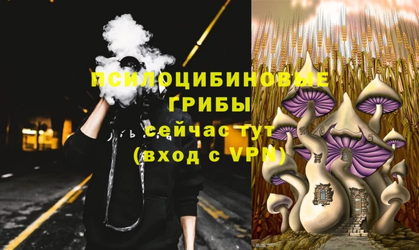 гашик Армянск