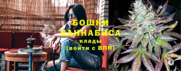 шишки Инсар