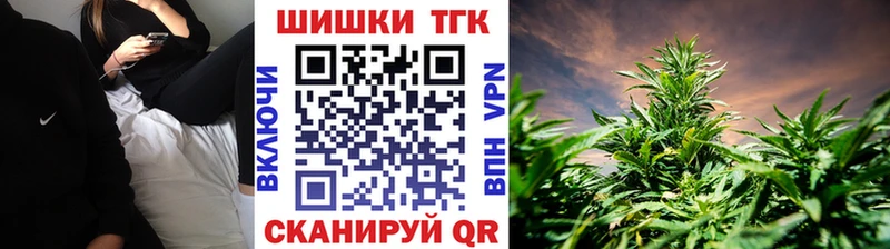 МАРИХУАНА сатива  как найти   Будённовск 